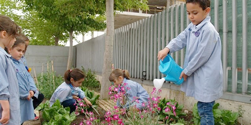 Proyecto Huerto Escolar